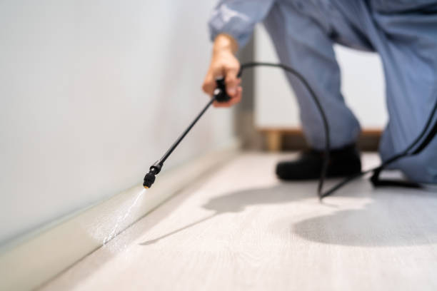 Licensed Pest Control service in Hollywood Park, TX - Show Me Pest Control