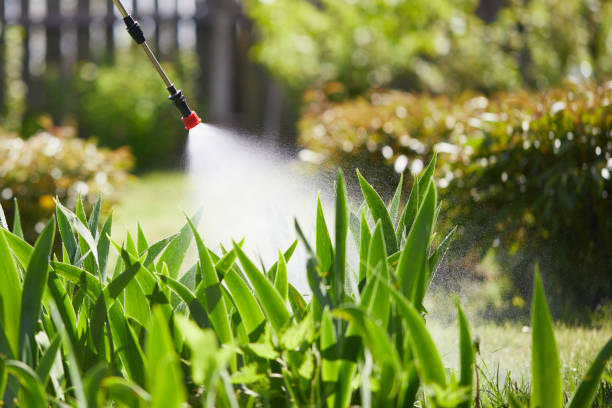 24/7 Emergency Mosquito Control experts in Hollywood Park, TX