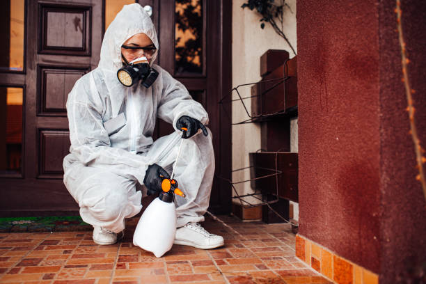 Reliable Mosquito Control contractor in Hollywood Park, TX by Show Me Pest Control